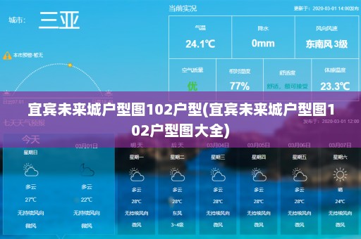 宜宾未来城户型图102户型(宜宾未来城户型图102户型图大全)