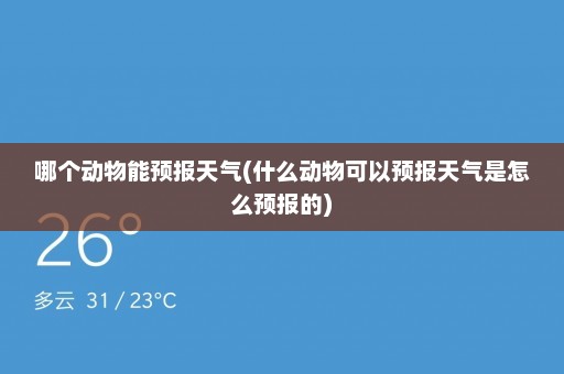 哪个动物能预报天气(什么动物可以预报天气是怎么预报的)