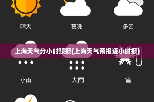 上海天气分小时预报(上海天气预报逐小时报)