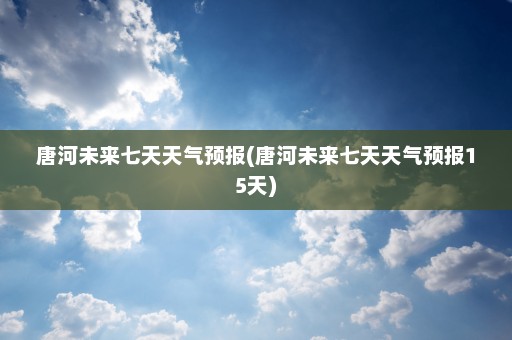 唐河未来七天天气预报(唐河未来七天天气预报15天)