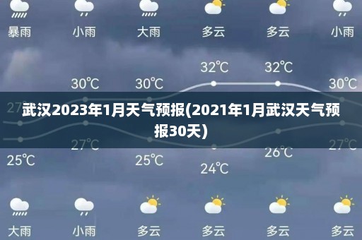 武汉2023年1月天气预报(2021年1月武汉天气预报30天)