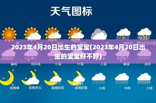 2023年4月20日出生的宝宝(2023年4月20日出生的宝宝好不好)