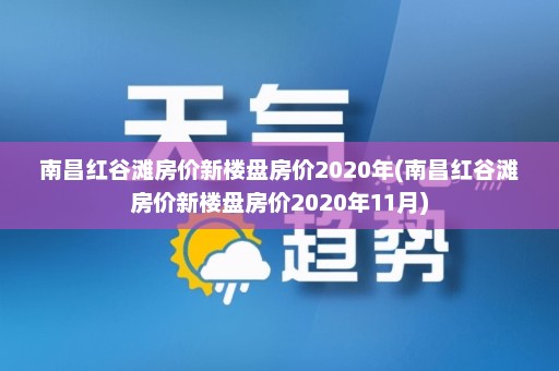 南昌红谷滩房价新楼盘房价2020年(南昌红谷滩房价新楼盘房价2020年11月)