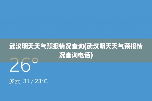 武汉明天天气预报情况查询(武汉明天天气预报情况查询电话)