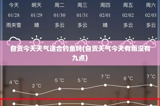 自贡今天天气适合钓鱼吗(自贡天气今天有雨没有九点)