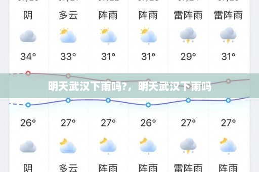 明天武汉下雨吗?	，明天武汉下雨吗