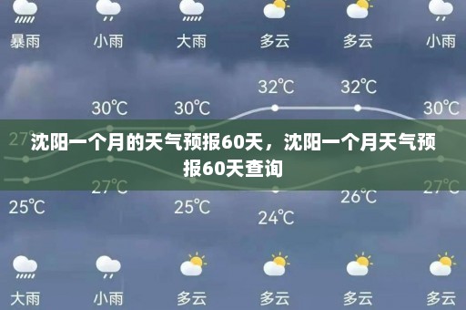 沈阳一个月的天气预报60天，沈阳一个月天气预报60天查询