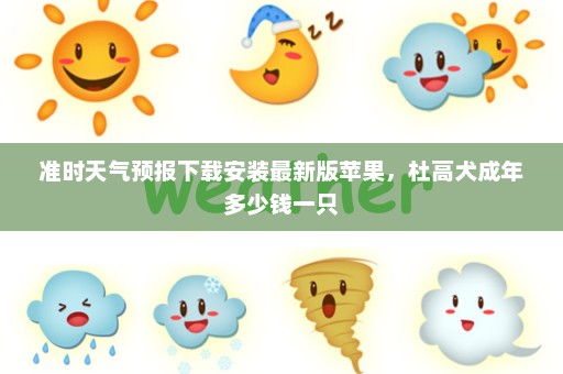 准时天气预报下载安装最新版苹果，杜高犬成年多少钱一只