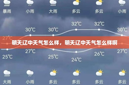 明天辽中天气怎么样	，明天辽中天气怎么样啊