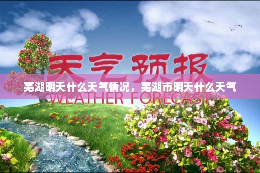 芜湖明天什么天气情况，芜湖市明天什么天气