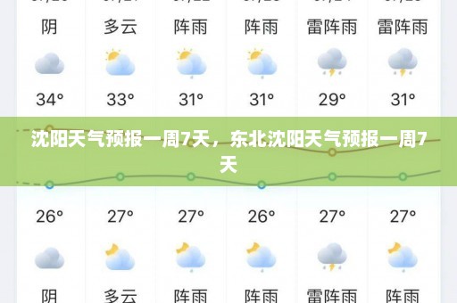 沈阳天气预报一周7天，东北沈阳天气预报一周7天